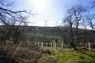 Image of property