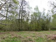 Image of property