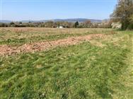 Image of property