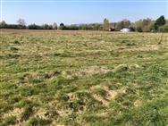 Image of property