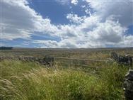 Image of property