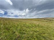 Image of property