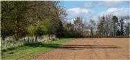 Image of property