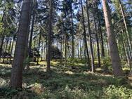 Image of property