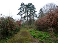 Image of property