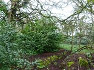 Image of property
