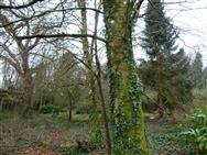 Image of property
