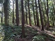 Image of property