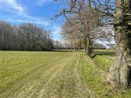 Image of property