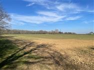 Image of property