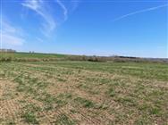 Image of property