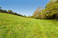 Image of property