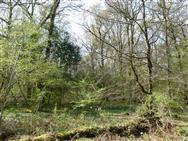 Image of property