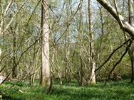 Image of property