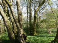 Image of property