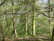 Image of property