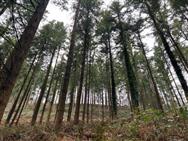 Image of property