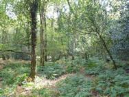 Image of property
