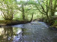 Image of property