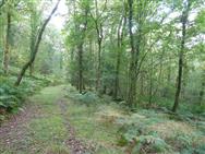 Image of property