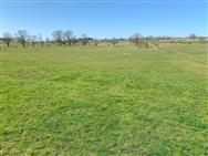 Image of property