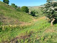 Image of property