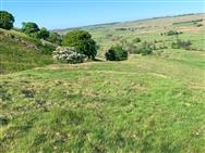 Image of property