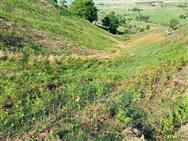 Image of property