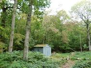 Image of property
