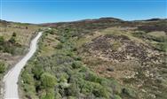 Image of property