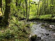 Image of property