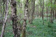 Image of property