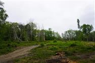 Image of property