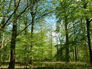 Image of property