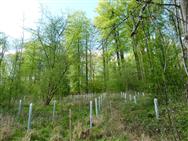 Image of property