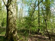 Image of property