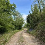 Image of property