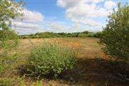 Image of property