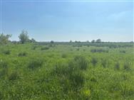 Image of property