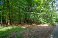 Image of property