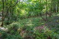 Image of property