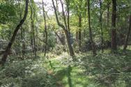 Image of property