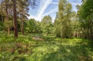 Image of property