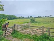 Image of property