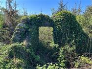 Image of property