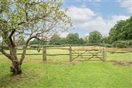 Image of property
