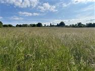 Image of property