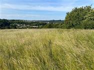 Image of property