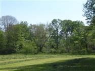 Image of property