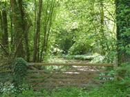 Image of property